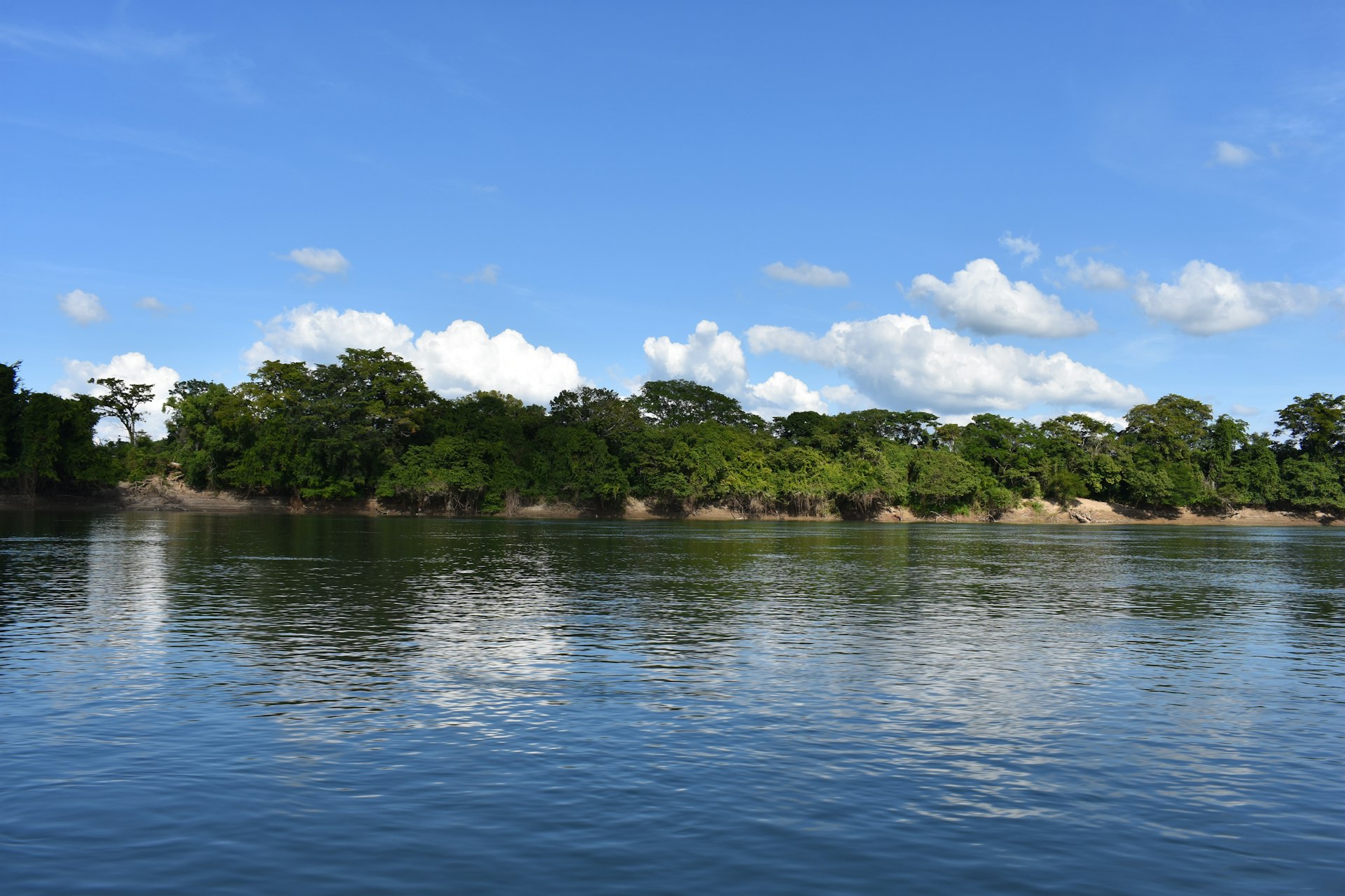 a body of water with trees around it